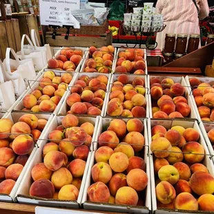a display of peaches