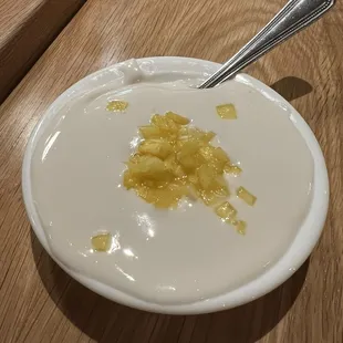 Coconut-Vanilla Pudding (3/5)