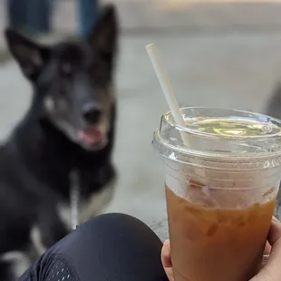 Iced Coffee with Oat Milk