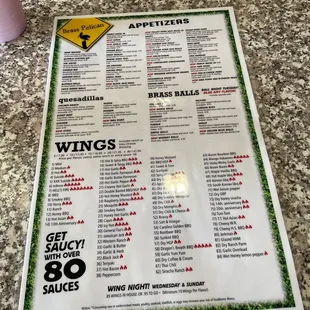 Look at all the sauces/dry rubs!