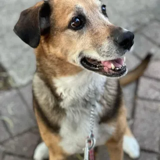 Emma D.