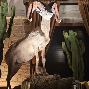 a statue of a ram in a living room