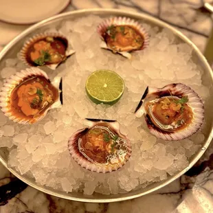 Scallops