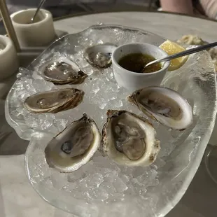 Oysters