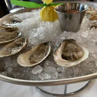 Oysters