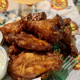 Paleontologist's Dream Wings