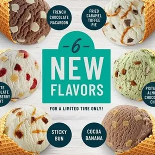 6 new flavors for a limited time only