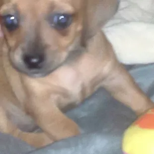 Wonderful customer service lunch starts at 1000