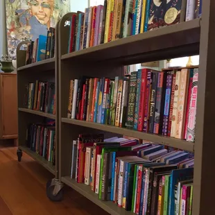2 library carts maxed out with great books and fiction for tweeners and teenagers.