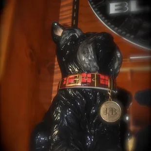 a black bear with a red collar