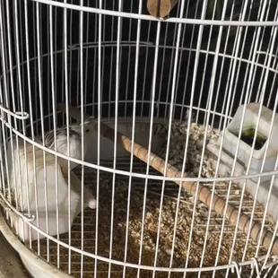 Not clean, black mold in water hasn't been cleaned in months.