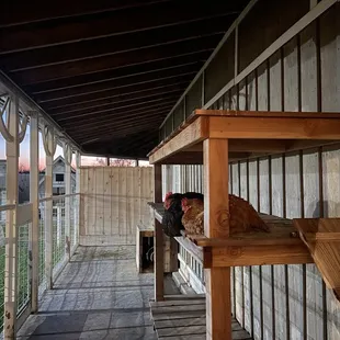 outside, ramen and noodles