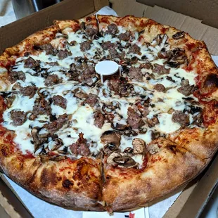 sausage &amp; mushroom pizza $26 L