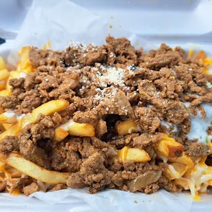 Carne asada fries half order