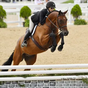 MTM All In and Morgan Brawley. Morgan developed this horse from when he was 4 and he is now winning with his new owner!