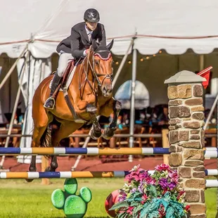 Trapatoni &amp; Michael DeMatteo (Santa Fe, NM)