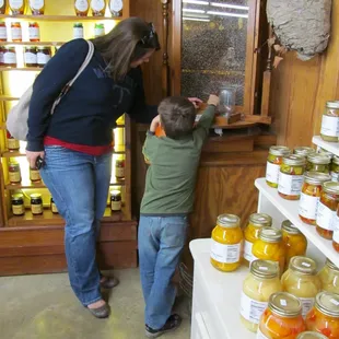 Watching the honey bees