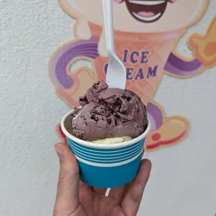 Black raspberry truffle and lemon bar ice cream