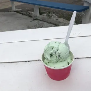 The Vegan Mint Chocolate Chip