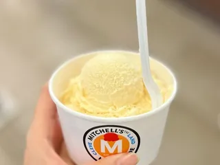 Mitchell's Homemade Ice Cream - Uptown