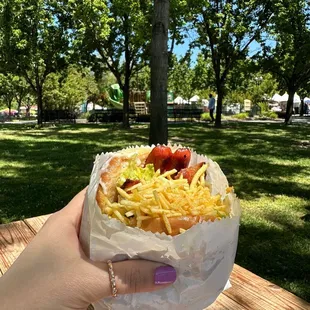 a hand holding a burrito in a park