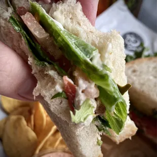 Couple bites of sammie