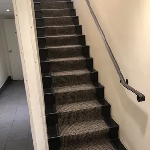 Stairs to the downstairs restroom.