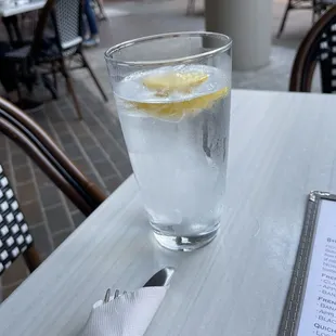 a glass of water with ice and a slice of lemon