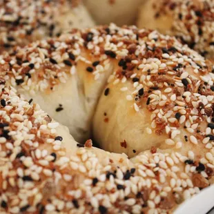 Everything Bagel
