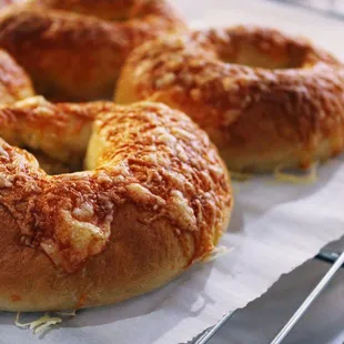 Asiago Bagels