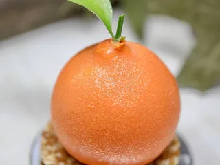 Zhong Gang Bakery