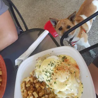 Fajita Benedict