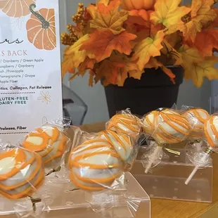 HEALTHY CAKE POPS! Protein Based, Delicious and Nutritious!!