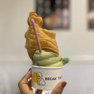 Break the Ice
