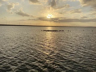 Red Dot Pier