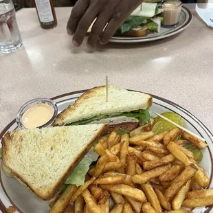 Turkey and avocado sandwich