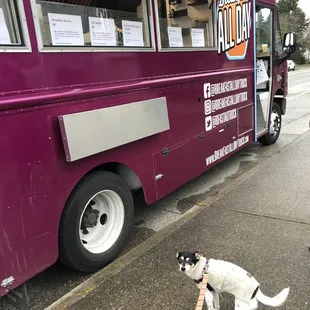 The truck, with my pup Mina waiting for our order.