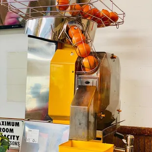 12oz Fresh Squeezed Orange Juice