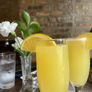 Orange Mimosa