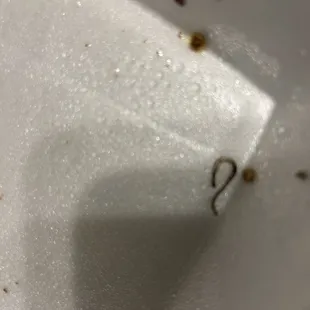 Some kind of metal hook or something!