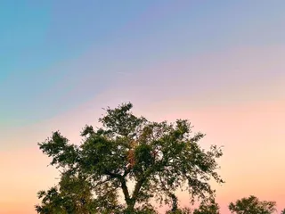 Bonnabel Boat Launch Park