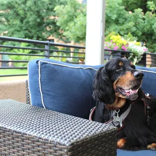 It was so relaxing out there, we could have sat for hours - Forbes loved it too.