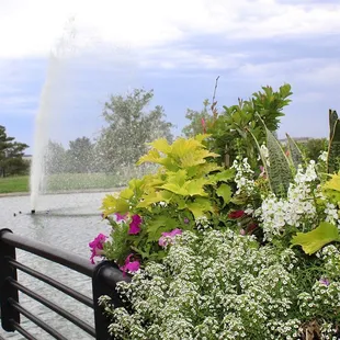 It was so relaxing out there, we could have sat for hours - Forbes loved it too.