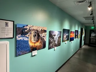 Danico Brewing Company