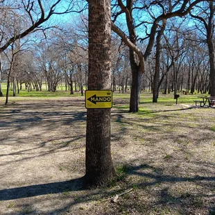 Disc golf course. Feb 2024
