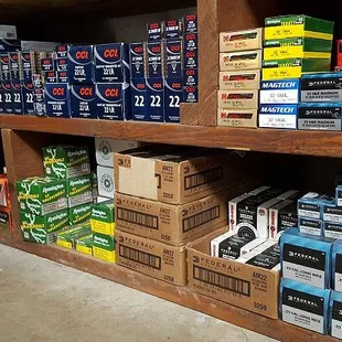 22LR Ammo Collection