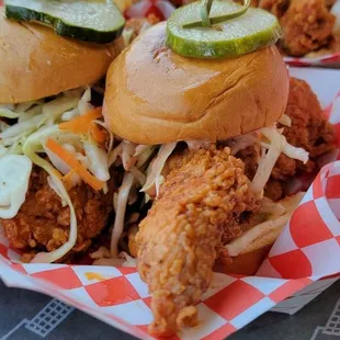 Slider Chicks