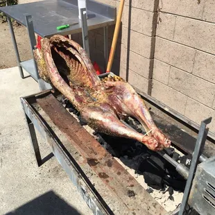 ribs, food, bbq ribs