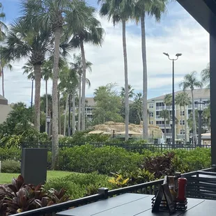 Our table view