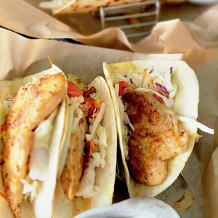 CITRUS SPLASHED FISH  TOCO&apos;S  BEANS  &amp;  RICE